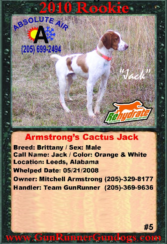 ARMSTRONG'S CACTUS JACK